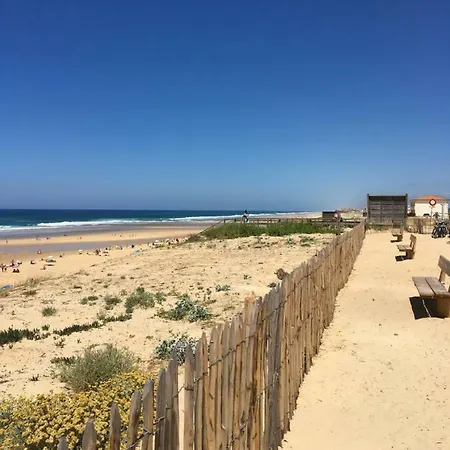 A 500 Metres De L'ocean 아파트 미미장플라즈