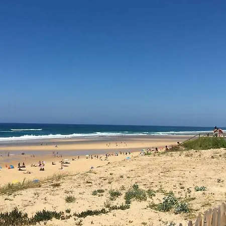 A 500 Metres De L'ocean 아파트 미미장플라즈